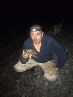 Ночной Малый Утриш и толпы: ерш спасает, горбылик у подвоха и поиск банок