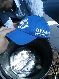 Крым, Сотера: лодочный луфарь, с пирса — ласкирь на креветку до 200 г