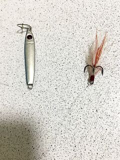 Один из пилькеров на фото: под ставриду УЛ, под пилькер — экстра-фаст