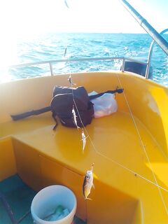 Адлер, лодка: ставрида «сумасшедшая», немного анчоуса и мерланга, ~9 кг