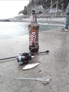 Мелочь с хитрым ртом: поклёвок много, реализации мало — средняя особь редкость