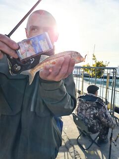 Хоста → Адлерский порт: толпа 120 человек и «султанище» на тирольку 5 г