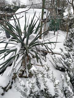 Снег и ветер: при 8 м/с на море не поехал — смысла мало