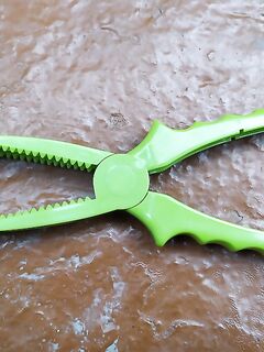 Привычка к щипцам спасает: иначе ставрида за вечер изколет руки