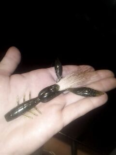 Коробка к сезону: приманки под скорпену и горбылёв по местным бровкам