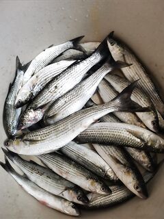 Сочи, порт и «чашка»: короткий заход без упора и всё равно с результатом