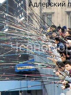 Техника безопасности на берегу: аккуратнее с соседями — крючки острые