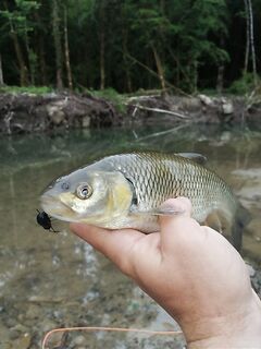 Сочи: где можно ловить на речках и где «вляпаться» по охране природы