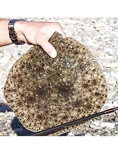 Береговой трофей в марте: силиконовый виброхвост на лёгкой огрузке