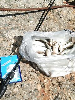 Короткая пометка без деталей: выход состоялся, уточню по снастям позже