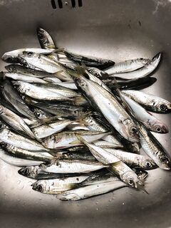 День плохой клевы и быстрый уход местных: как менялась рыбалка по ходу дня