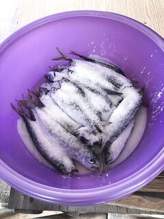 Первое копчение сезона: солим, промываем, проветриваем — и к столу