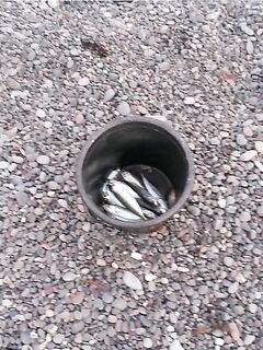 Конец мая — лучший клев на море: место Чабан-Коле отмечаю жирным