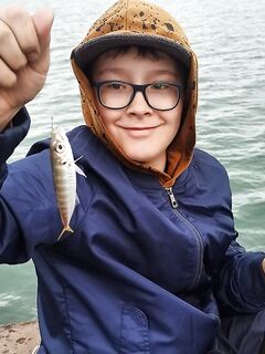 Мамайка, волнорез с 6 до 9: ставрида и окунь на половинку местной креветки