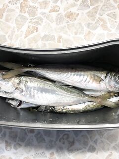 Севастополь вечером: «шпроты» вперемешку, килограммом мерной закрылся