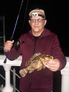 Первый трофейчик — отличная скорпена: взяла уверенно, фото есть