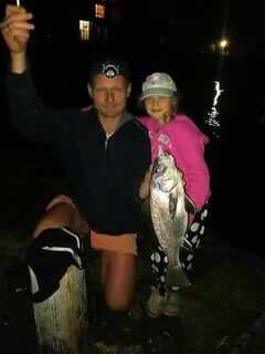 Горбыль влетел в сумерках: бомбарда Tict L, 0.8 г голова, светонакоп «spro»