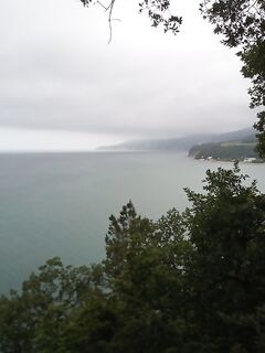 Криница утром: стая на 70+ м, 10 г не долетает, вечером снова далеко и волна