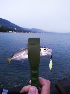 Абхазия, Новый Афон: вечерний час ставриды, мини-пилькеры 4.5 г, резина молчит