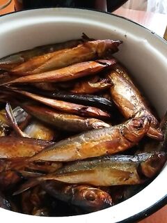 Похолодание воды — рыба ушла: за час один нанодракончик и всё