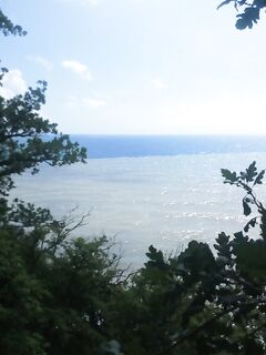 Рассветная рыбалка на Чёрном море: ожидание выхода и проверка точки «на упор»