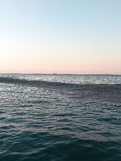 Севастополь, рассвет и мусорные «окна»: как ставрида меняла приманки по ходу дня