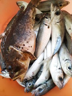 Гроза и неон неба: рыбалка на бомбарду 20–30 г — от мелочи у берега к крупнее вдали