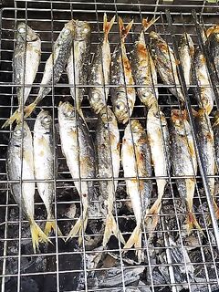 Вечерний выход с братом: рыбалка по ставриде «то подходит, то уходит», на жарёху хватило