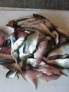 Жарю, копчу и мариную: рыбалка по ставриде не надоедает, рецепт — соевый соус и лимон