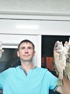 С берега 200–300 м, 10–15 м глубины: рыбалка по ставриде и отвес на три крючка с кусковой