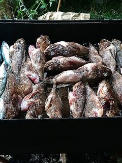 Ассисты на пилькер у пирса: деликатные тычки и резкая смена предпочтений