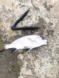 Да, тот самый вариант оснастки: уточнил по схеме и креплению