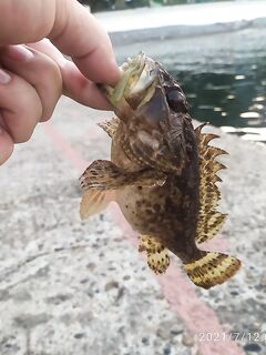 Первый ершик — отметка есть, двигаюсь дальше