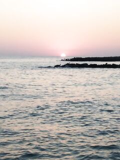 По наблюдениям: с этого времени ставрида идёт к берегу массовее