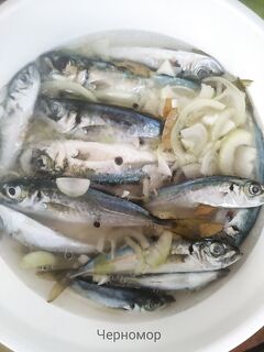 Маринад для ставриды: быстрый рецепт под жареху и холодную закуску
