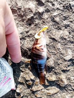 Разрушенный пирс «оголили»: валуны вывезли, рельеф сгладился — сместился на буну