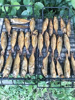 Жара, луна и три ставриды: вечер тренировок и ухиного набора для напарника