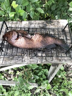 Морозилка тает: разгружаю запасы и планирую новые выходы