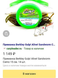 Минимальный набор: пачка Berkley + сухой морской червь — и хватит