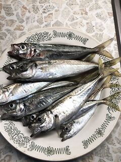 Утренний бег по пляжу: клев пятнами до 7:00, размер приятно удивил