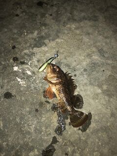 Сочи, Бытха: онлайн-проводка на резину — видовой состав на экране