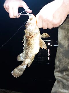 Ночь в Хосте: трудовая рыба, благодарность напарнику за выезд