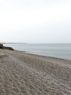 Севастополь, 4 утра: ставрида клюёт до ветра, шторм прогнал всех