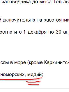 Правки по закону: указали мидии, флуд закрываем — идём ловить