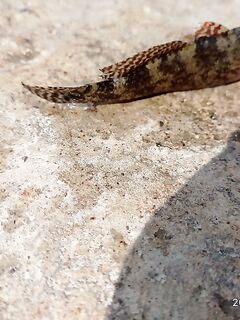 Ночной улов без фото: короткая пометка в журнале выездов