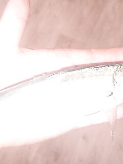 До шторма ловил железом и резиной: теперь блёсны ждут осень