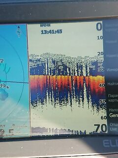 Дневной план: барабуля весь день, ставрида — ранний и ночной выход