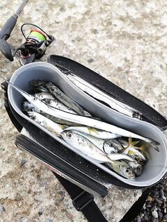 Соседняя буна работала в толще: прозондировали слой