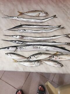 Утренний улов частичный: остальное в раковине моется