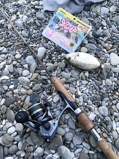 Кабардинка, отводной 7 г: мелкая ставрида, карась и товарная барабулька